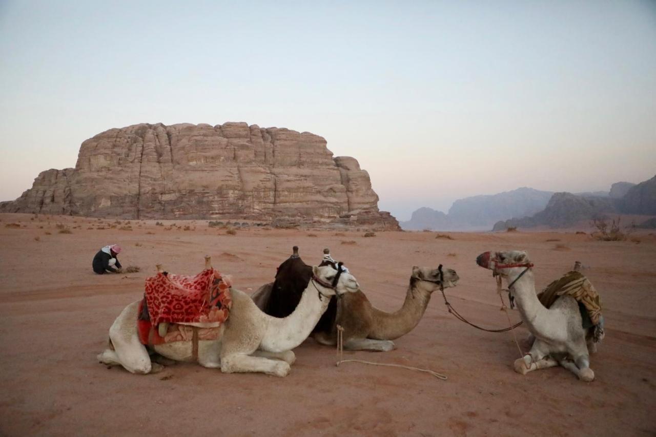 Rum Stars Camp Wadi Rum Exterior photo